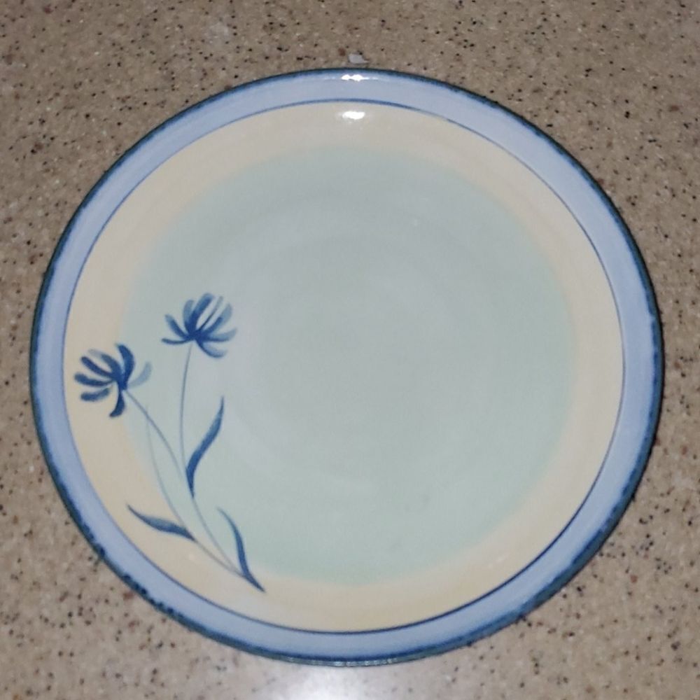 Pier 1 Imports Tranquility Dinner Plate